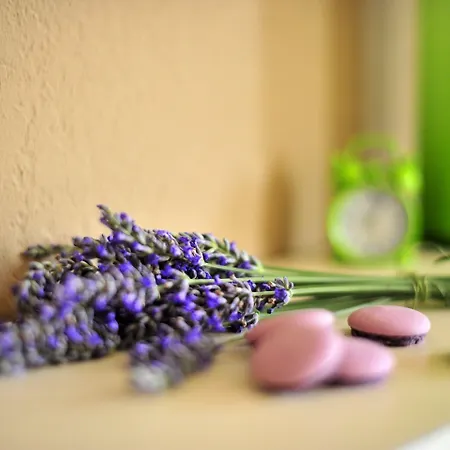 Pierre & Les Jardins Ombrages 3*