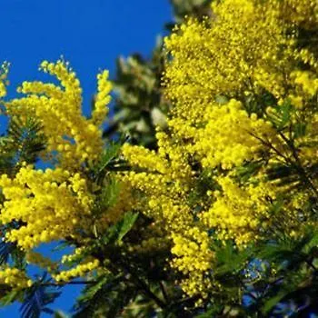 Pierre & Les Jardins Ombrages מאנדליה-לה-נאפול